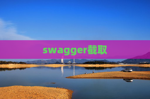 swagger截取